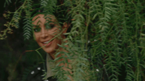 giphy (16).gif | BrighterBlog