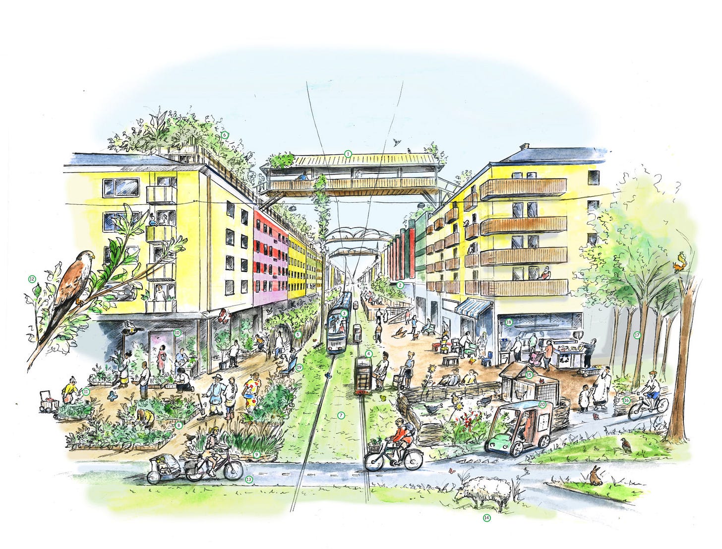 Concept drawing of a Nuremberg, Germany street made to be walkable and eco-friendly. There are bright colored buildings on either side of a grassy street with a trolley and many people walking around. There's a bike path in the foreground with native animals. There's little gardens next to the bike paths and trolley intersection. As well as many storefronts on the bottom floor of the apartment buildings that themselves have rooftop gardens and pedestrian bridges.