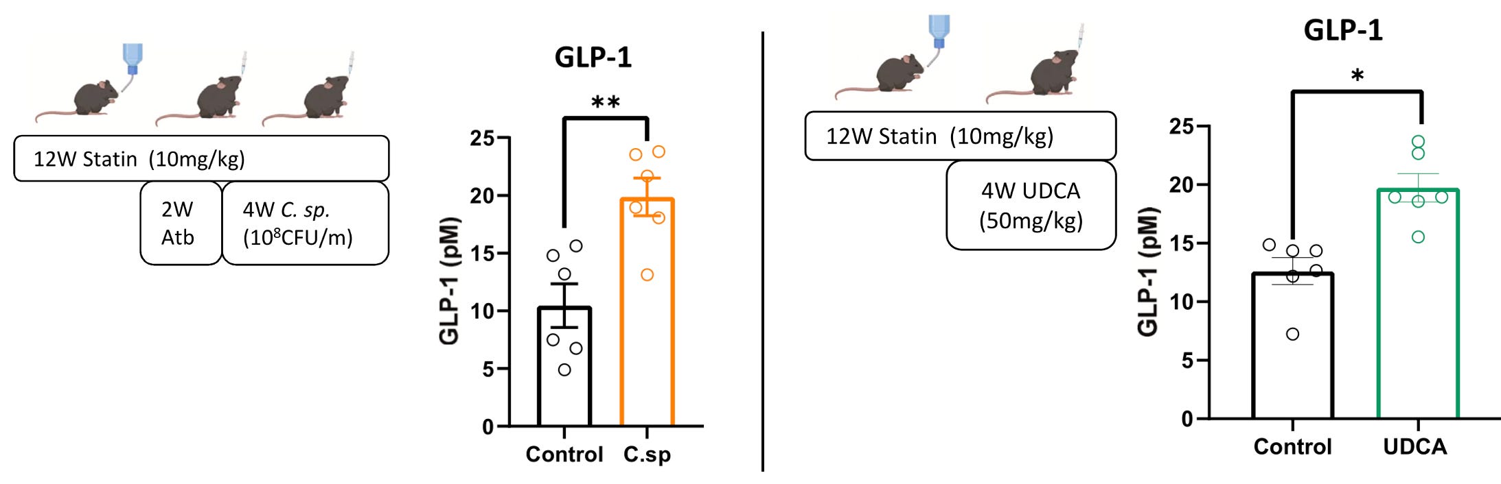 statins and glp 1 This Statin Study Should Have Changed Medicine—No One's Talking About It