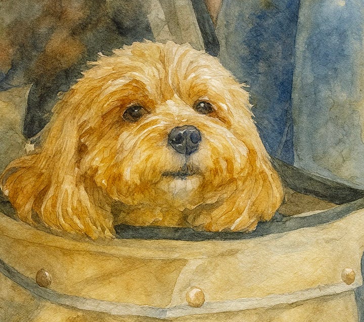 Digital Dog Paintings by Clifford Jones, photographer and visual artist