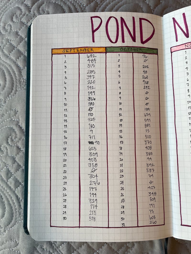 The Next Novel word count tracker