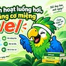 🦜 Thợ Tập Nói 365
