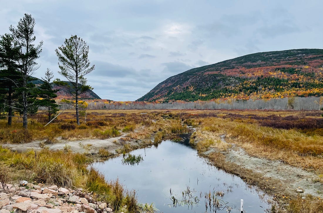 Acadia Is Winding Down for Winter Just as the Government Ropens