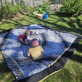 Garden Journal May 2025 
