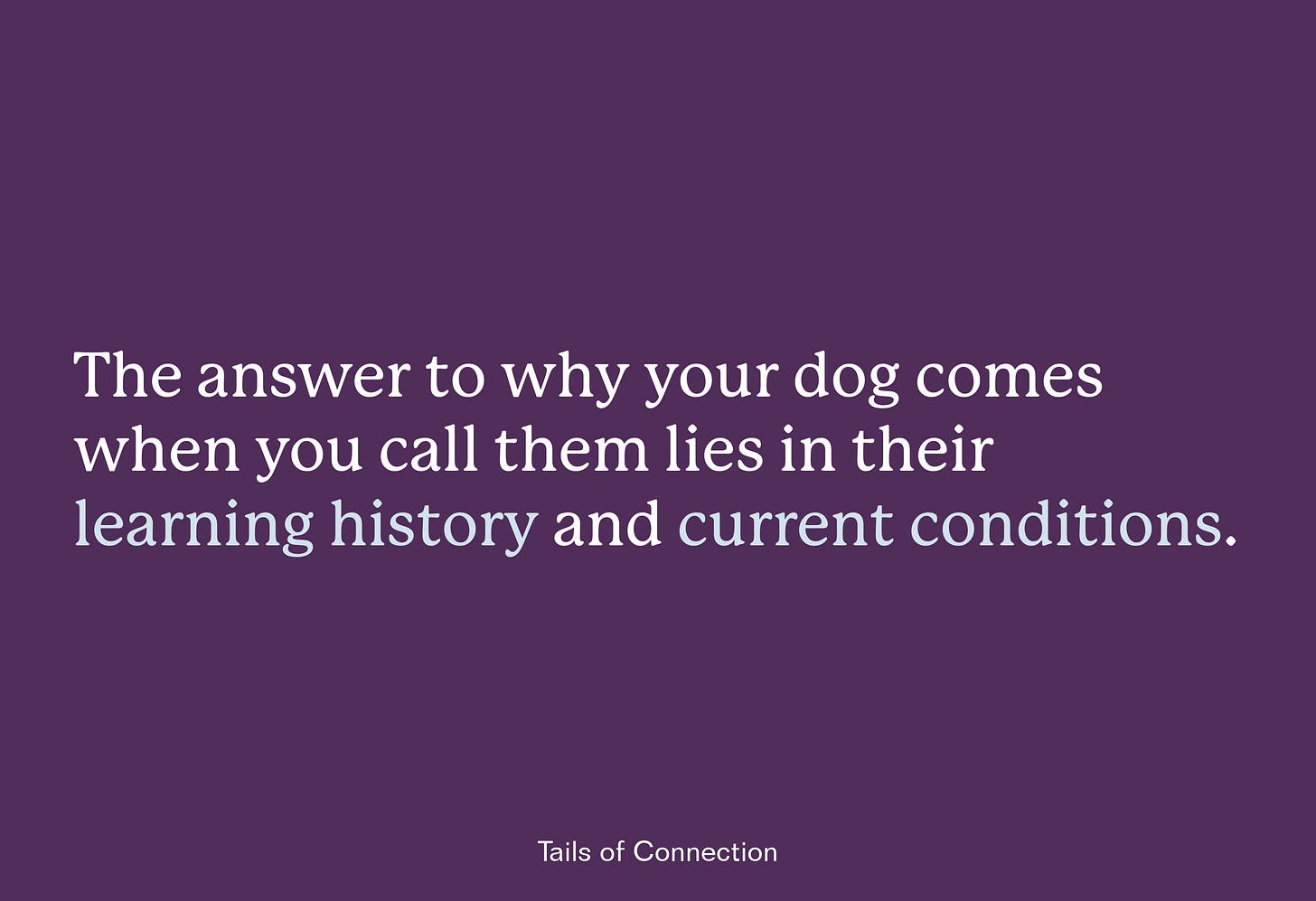 The answer to why your dog comes when you call them lies in their learning history and current conditions.