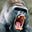 JohnE's avatar