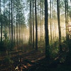 Introducing: The Understory Conversations