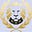IceManNT68's avatar