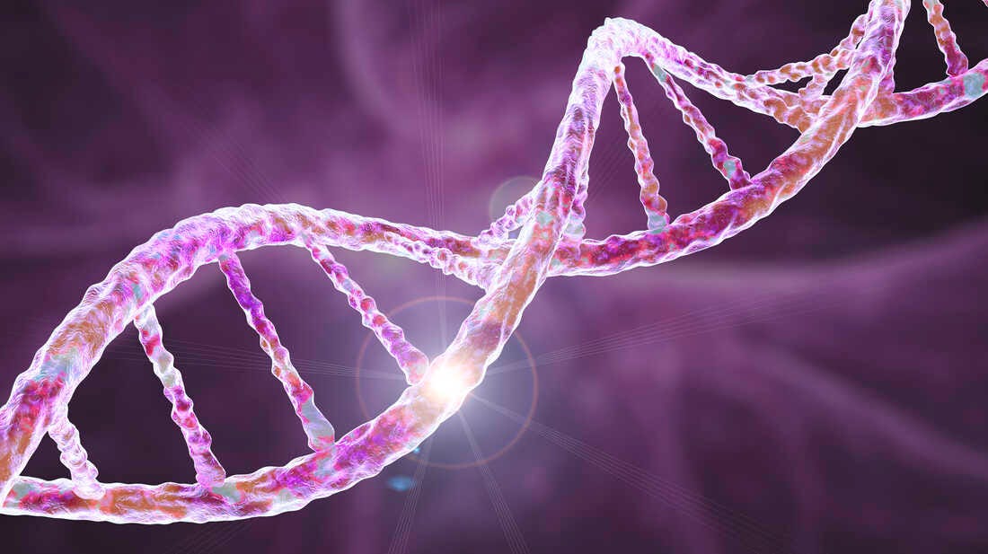 The Secret History of DNA : Short Wave : NPR
