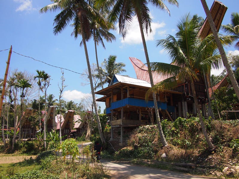 Tana Toraja - Sulawesi