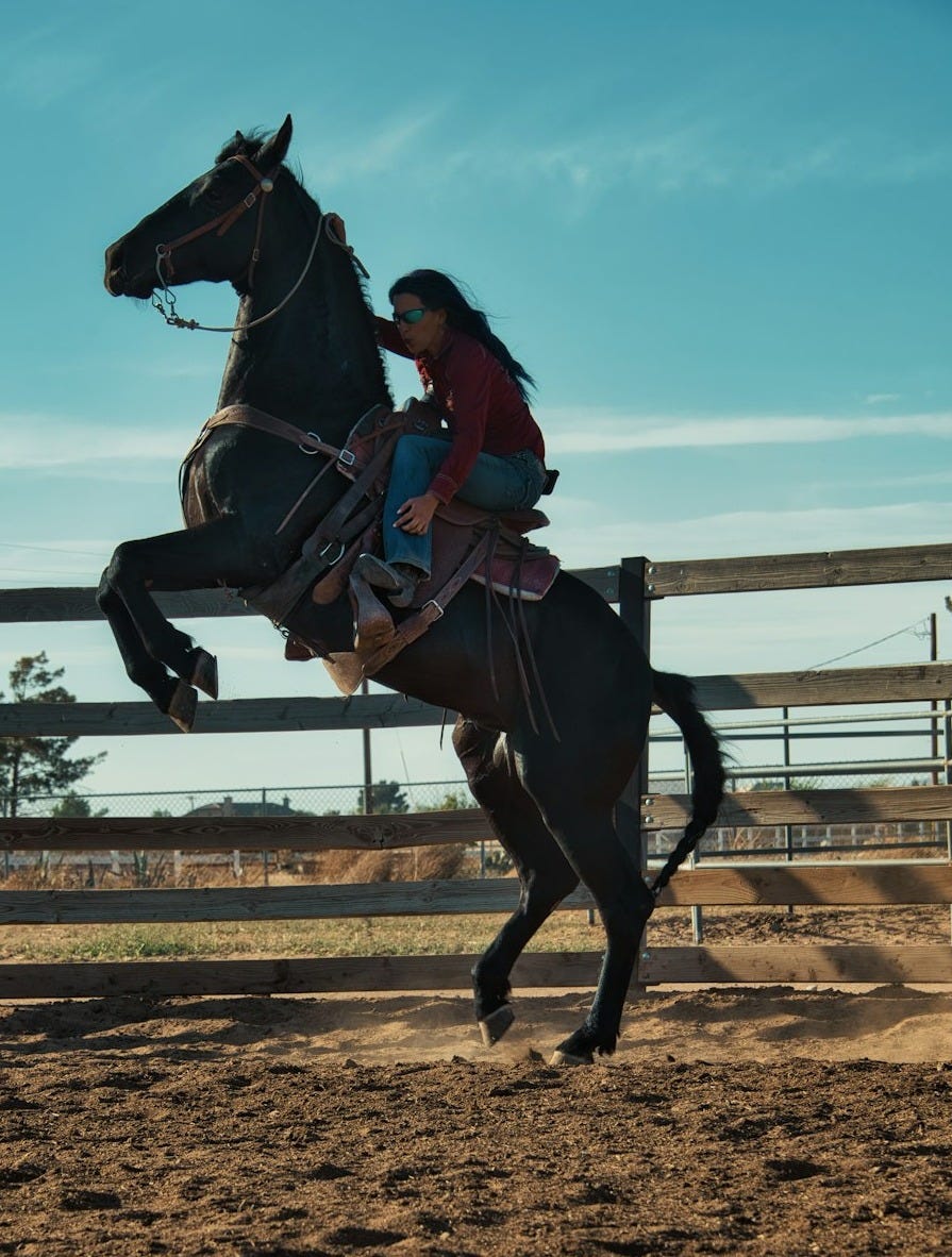 man in red shirt riding brown horse during daytime