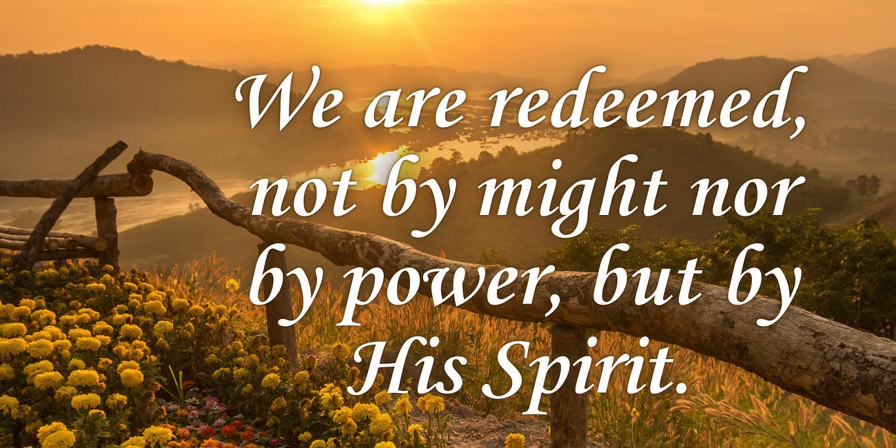 Backed By His Spirit • Daily Devo 562
