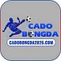 Cá độ bóng đá online's avatar