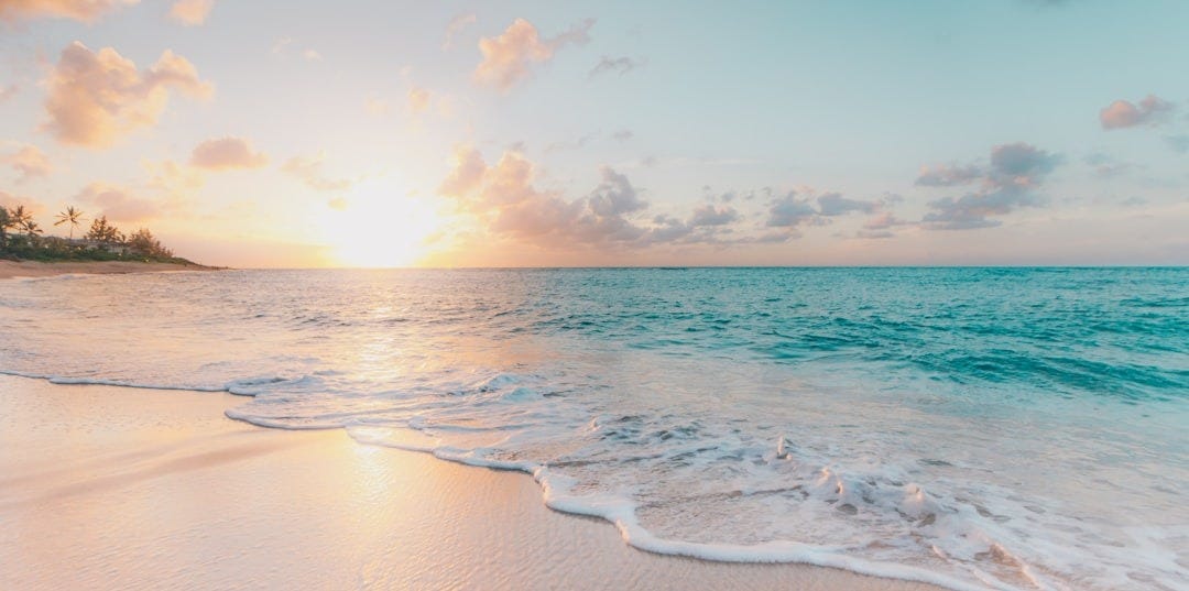 seashore during golden hour