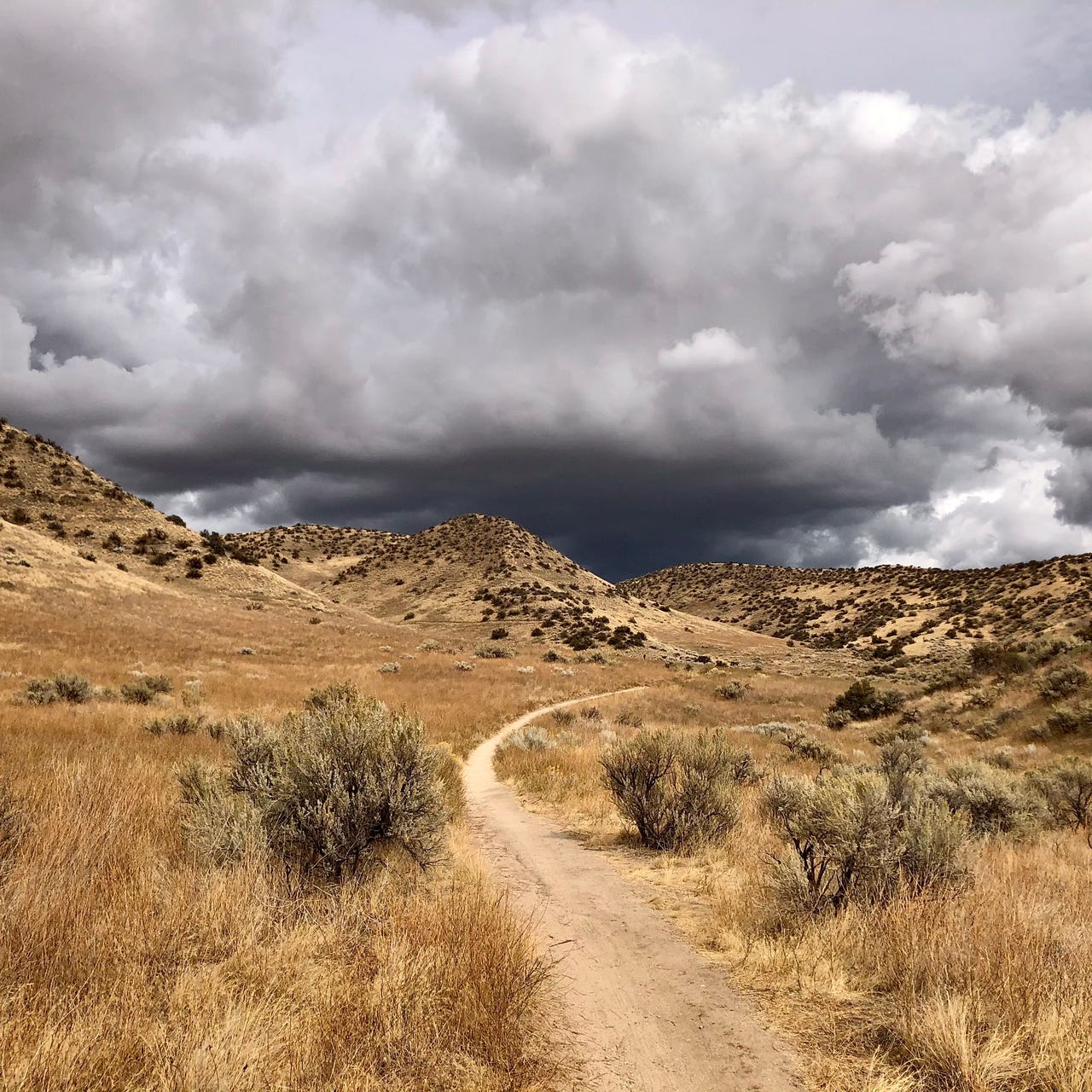 (re/dis)Orientation West