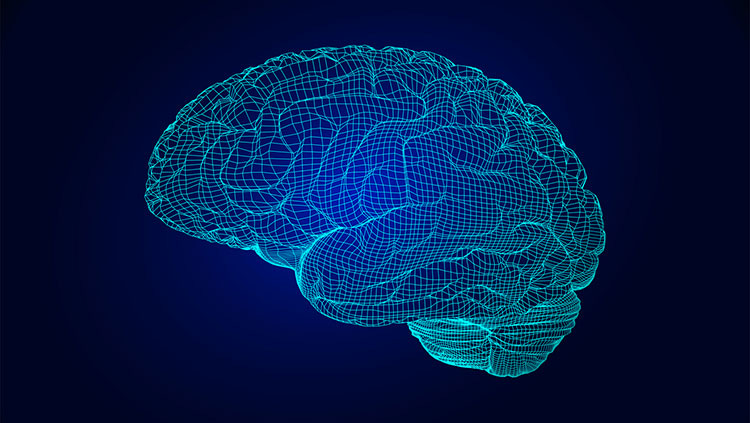 In the Era of AI, the World's Best Computers May Be Our Brains
