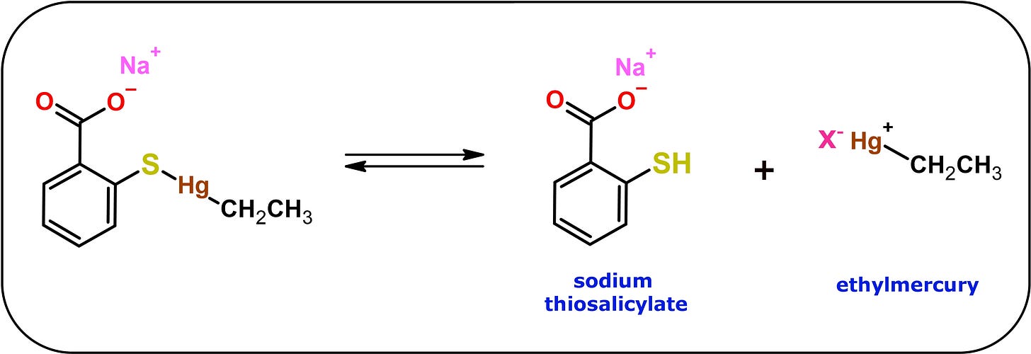 The Chemistry of Thimerosal and Ethylmercury