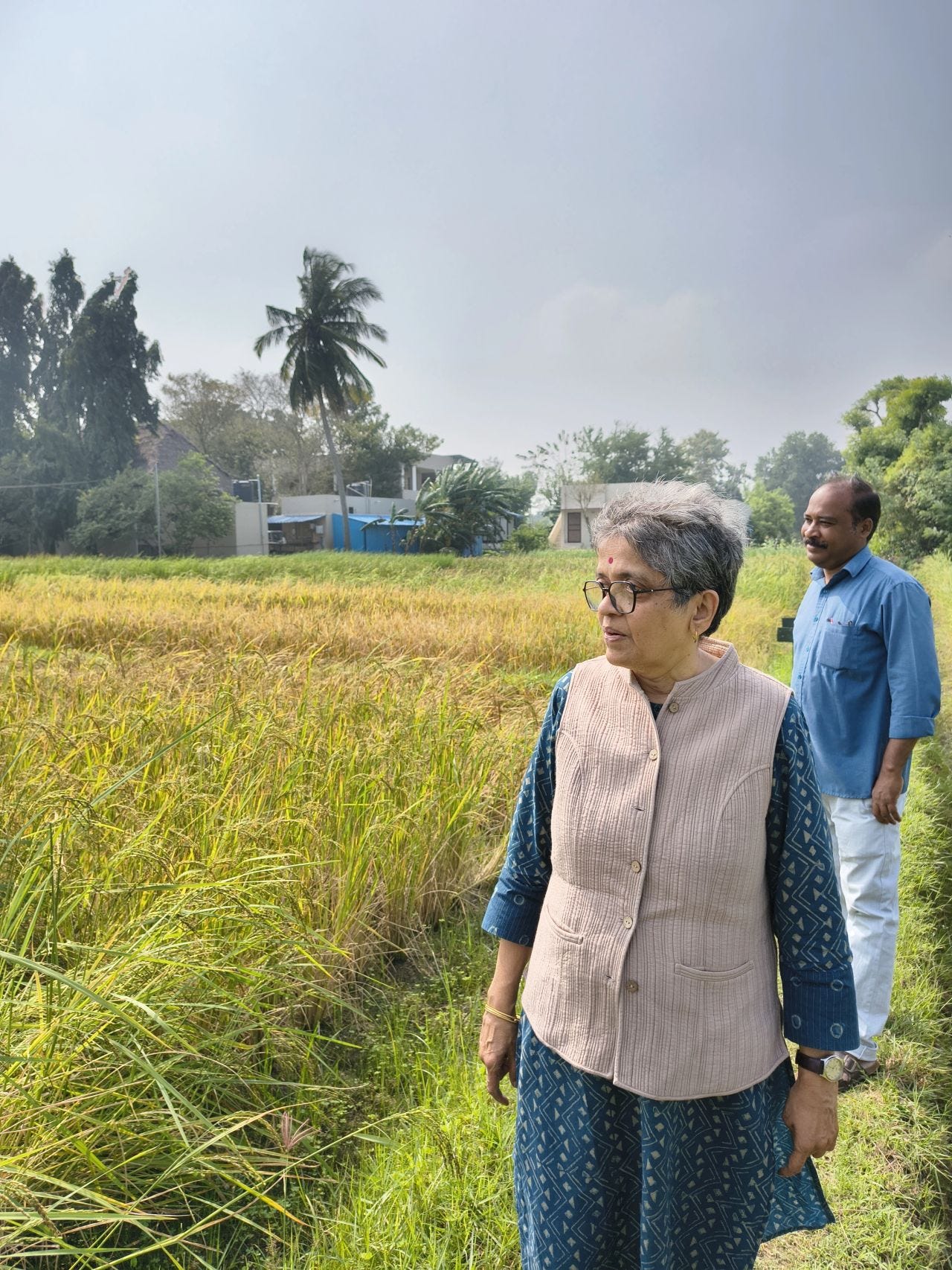 No alternative text description for this image