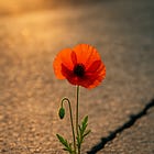 Defying the Default: A Love Letter to Those Who Don't Fit the Frame