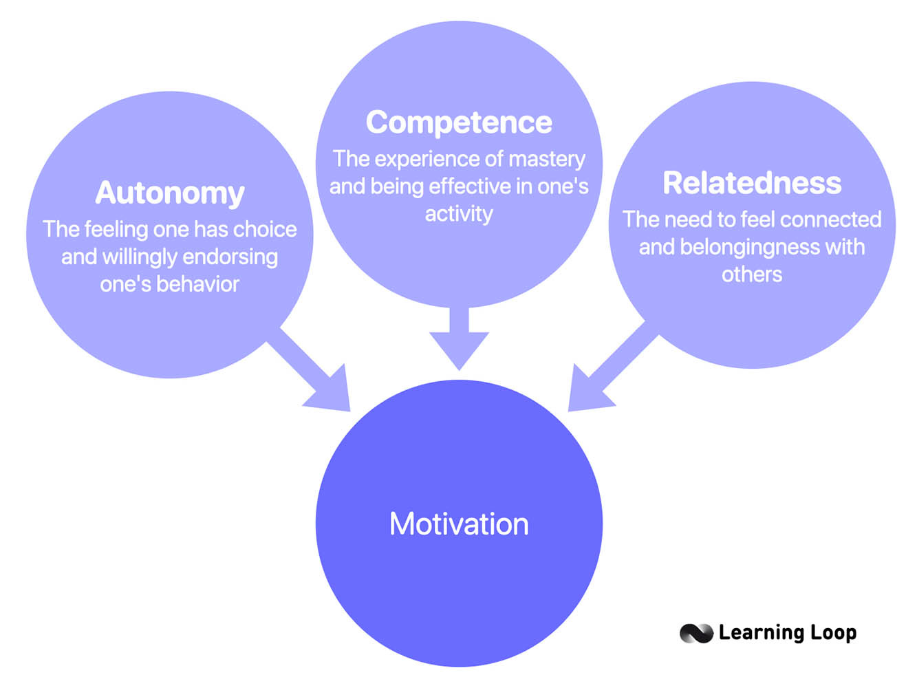 Self-Determination Theory. What it is, How it Works, Examples.