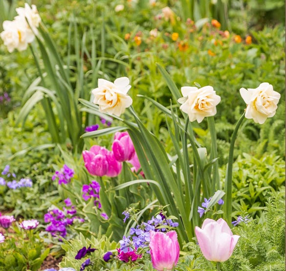 How to Design a Spring Cottage Garden - Get Inspired