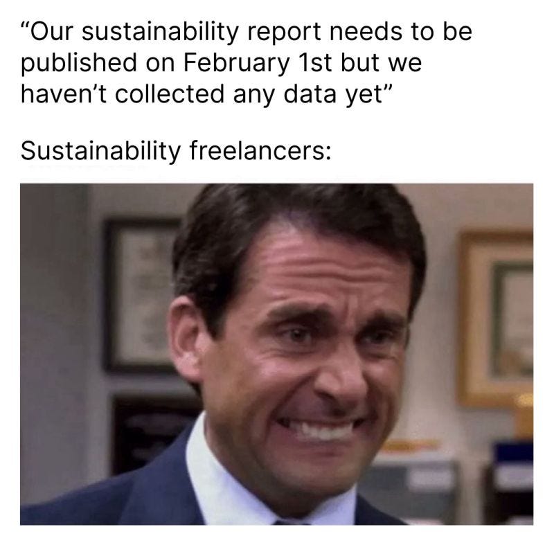 sustainabilitychallenges #esgdatacollection #sustainabilityreporting | Anje  de Jager