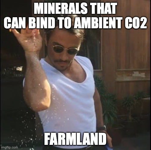 Salt Bae sprinkling salt from a raised hand. Top text: "MINERALS THAT CAN BIND TO AMBIENT CO2". Bottom text: "FARMLAND"