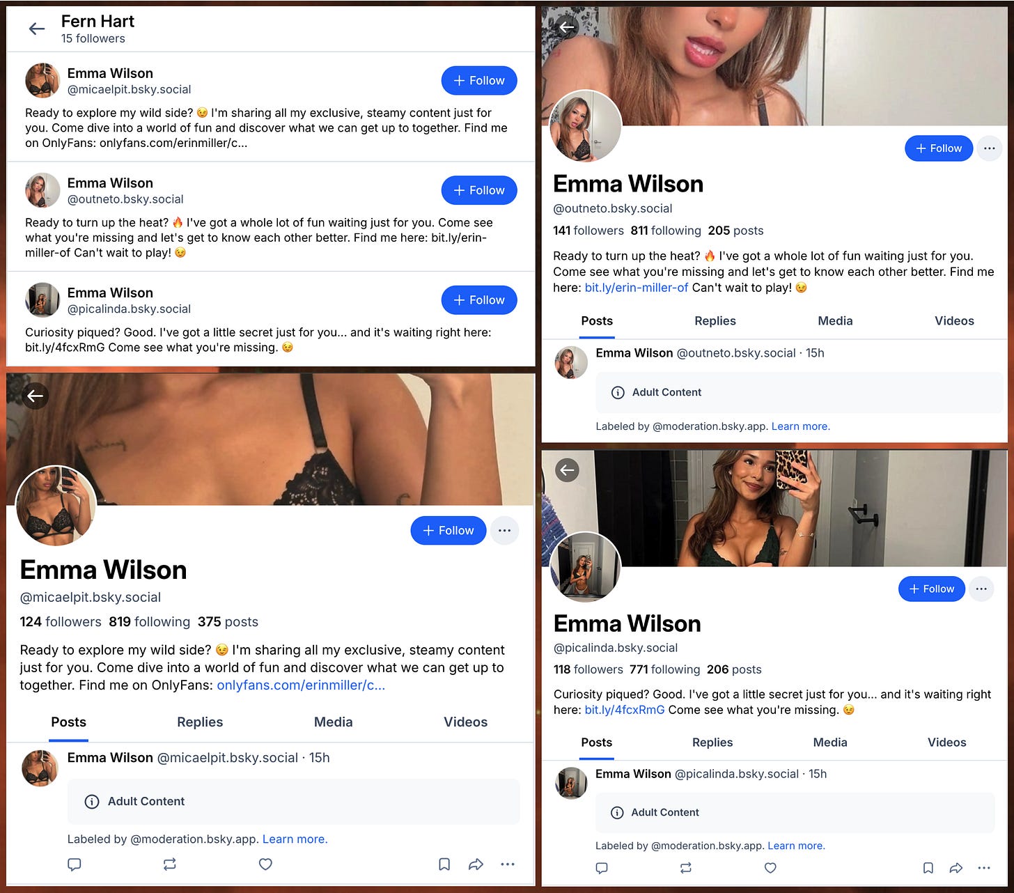 follower list for bloglink.bsky.social, showing three onlyfans spam accounts named "Emma Wilson"