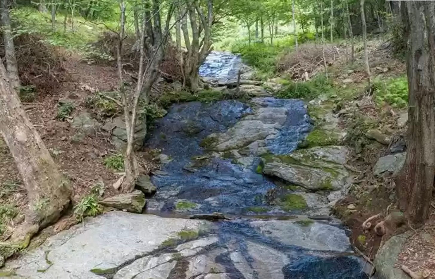 Look at this—We can start our tribe here! Look at this—We can start our tribe here!