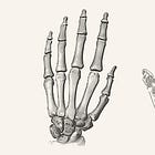 Dexterous Hands Primer: Actuation, BOM, Cost Curve, and Where Value Sits in the Hand Stack