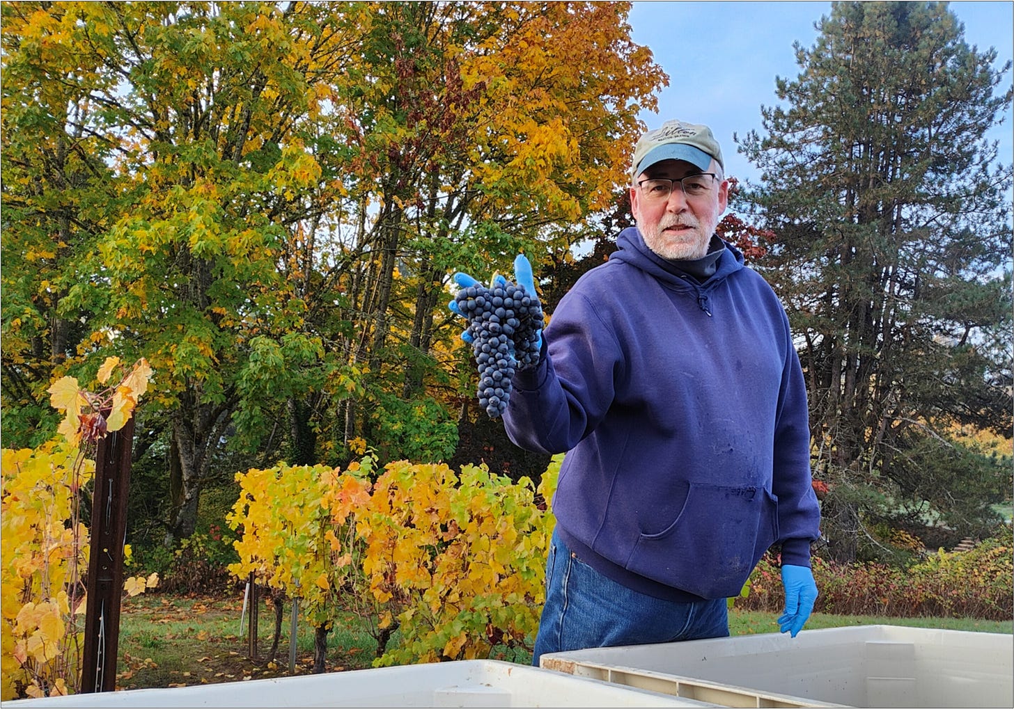 Ernie with a freshly plucked Syrah Cluster on The Last Best Day!
