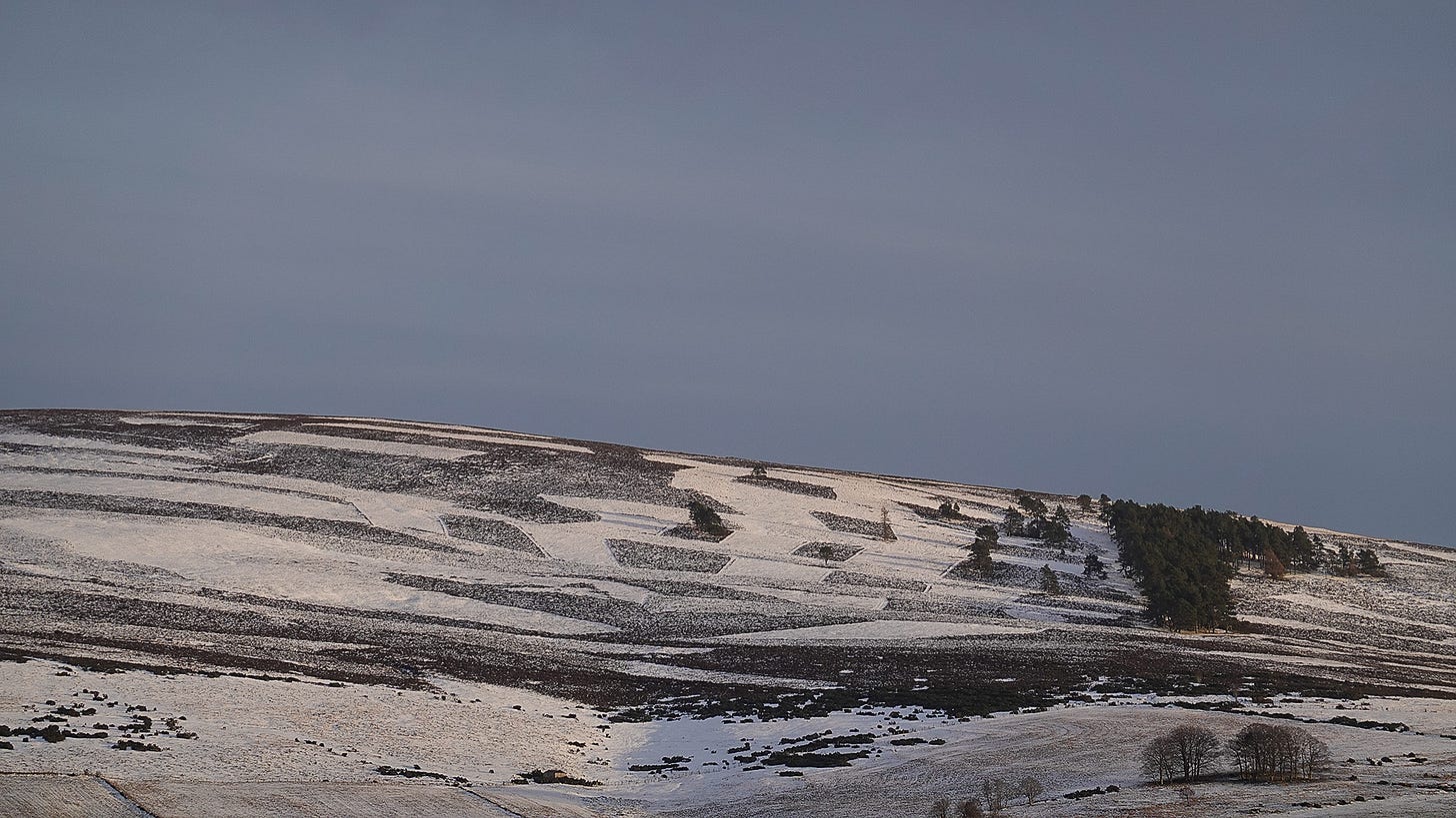 Patterns of muirburn on the hills are emphasised in snow