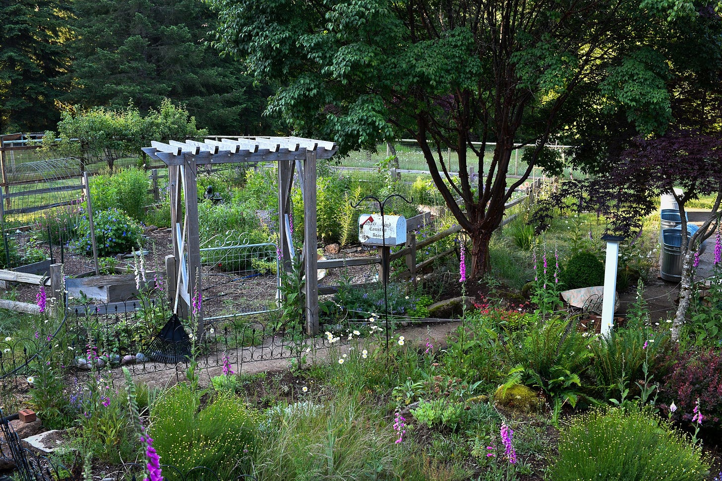 a garden scene in spring with a handmade wood garden arbor