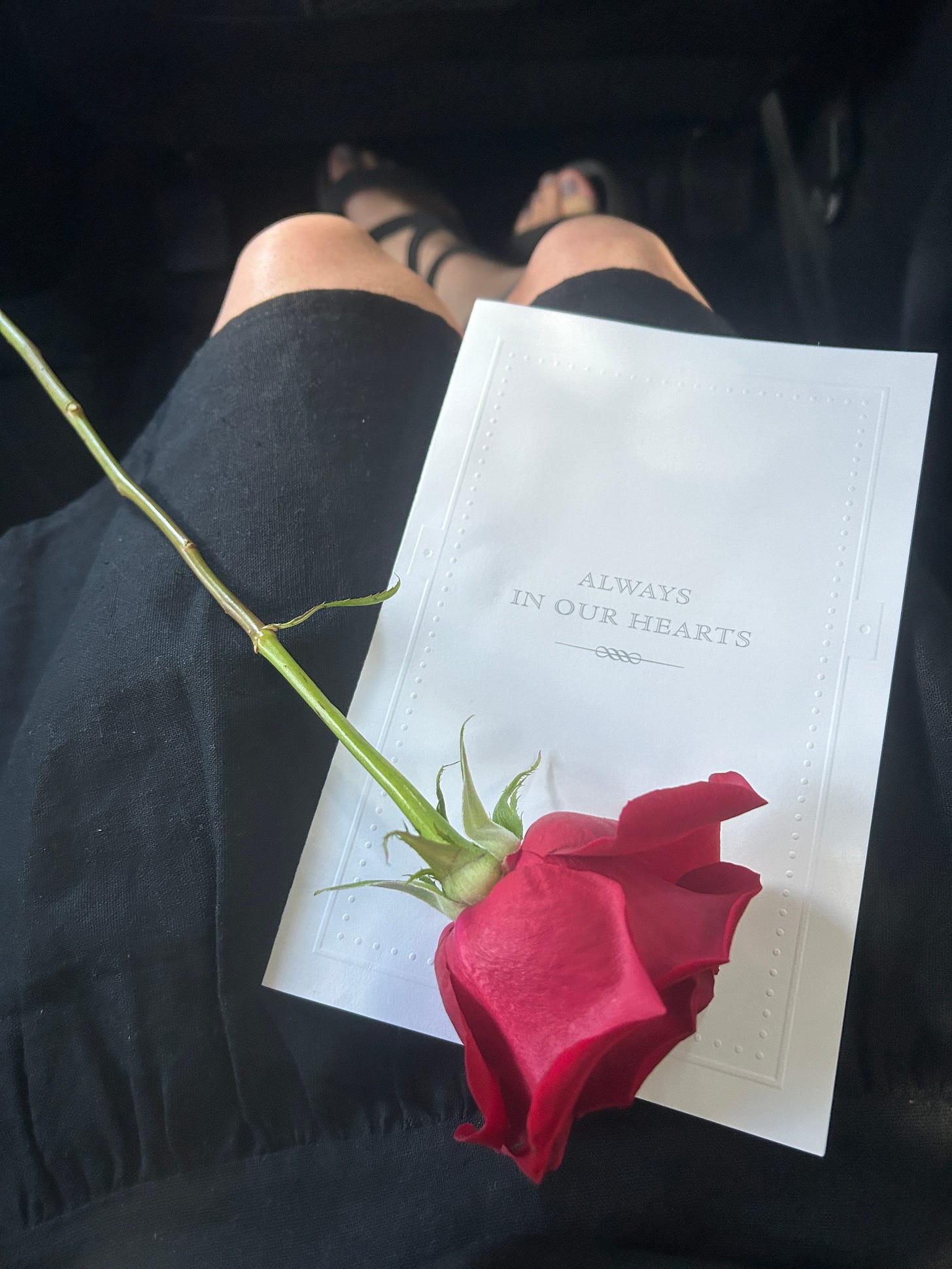 A time to mourn, and a time to dance - by Sarah, image size:1456x1941