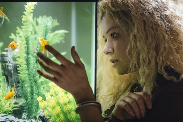 Orphan Black' Recap: They Are Family - The New York Times