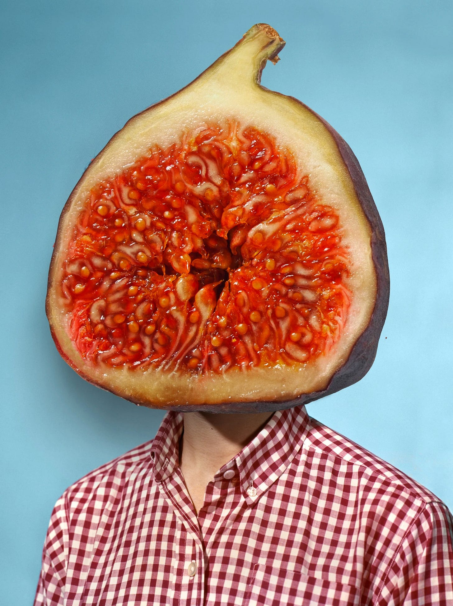 Intriguing Digital Collages by Lexicon Love | Daily design inspiration for  creatives | Inspiration Grid