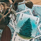 Talking Trees : Blue Spruce & Olive