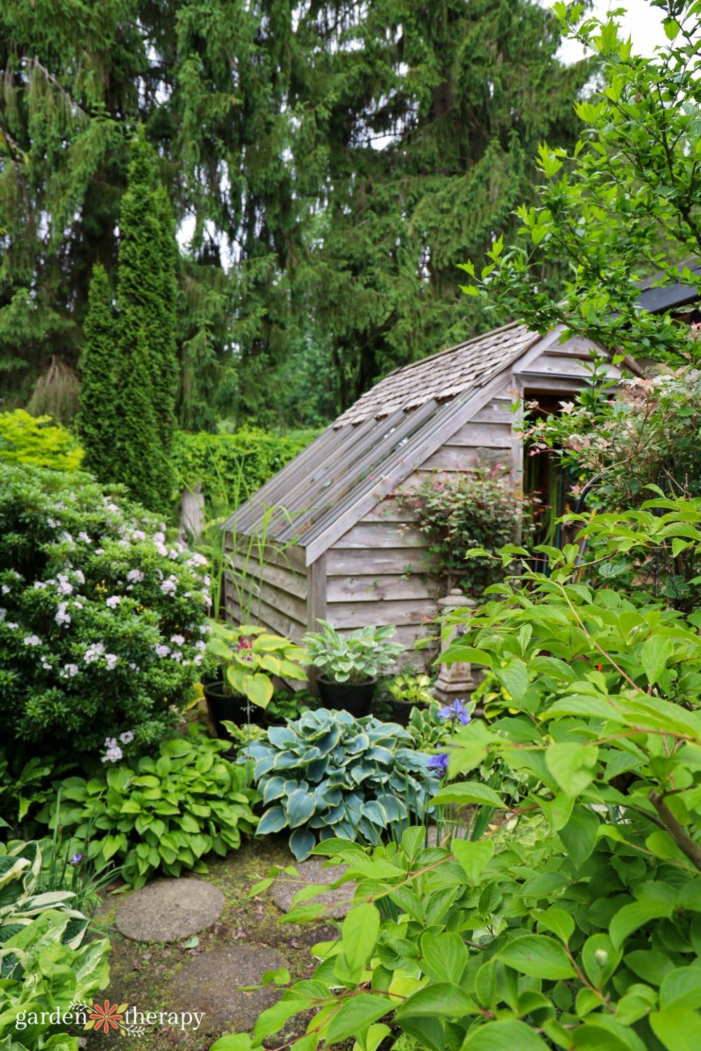 wooden potting shed and green shrubs