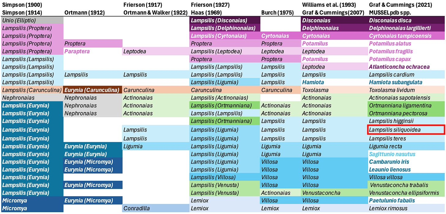A color-coded table showing the classification of Lampsilis sensu lato.