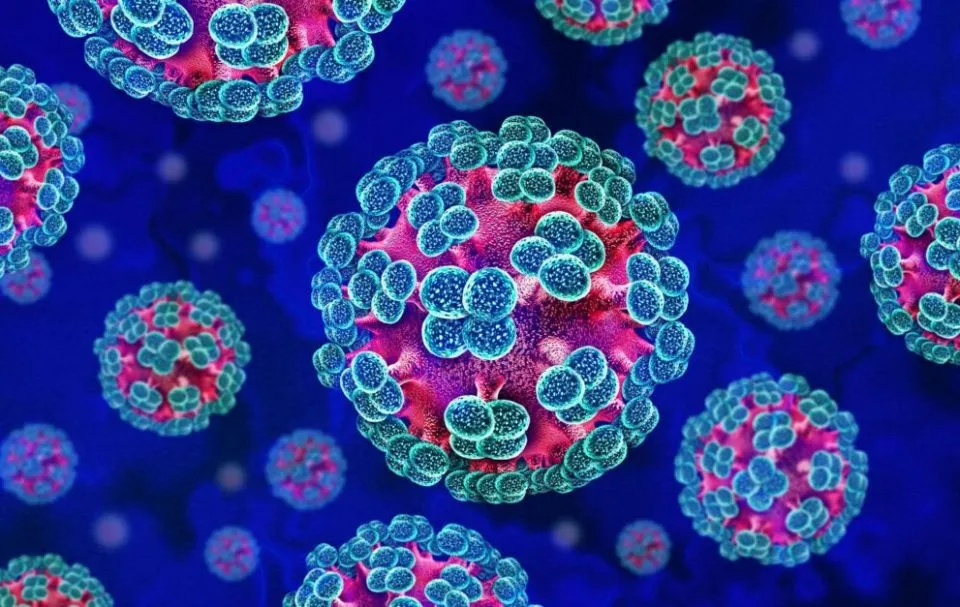 Virus - Hantavirus - Ebola