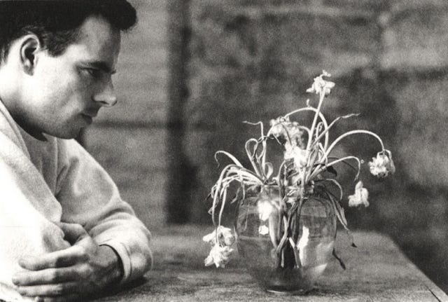 Flowers by Duane Michals, 1986 (4)