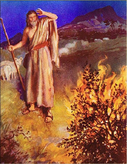 From the Burning Bush to the Cross: Making of a Leader - Acts 242 Study