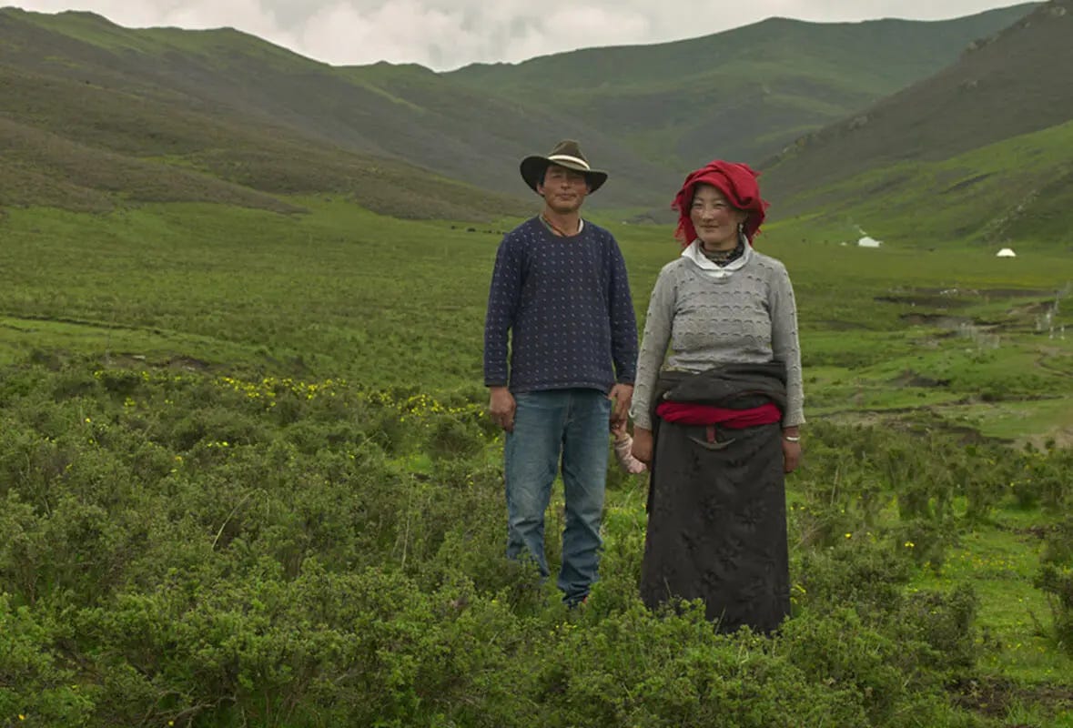 two nomads standing on the grass, a man and a woman