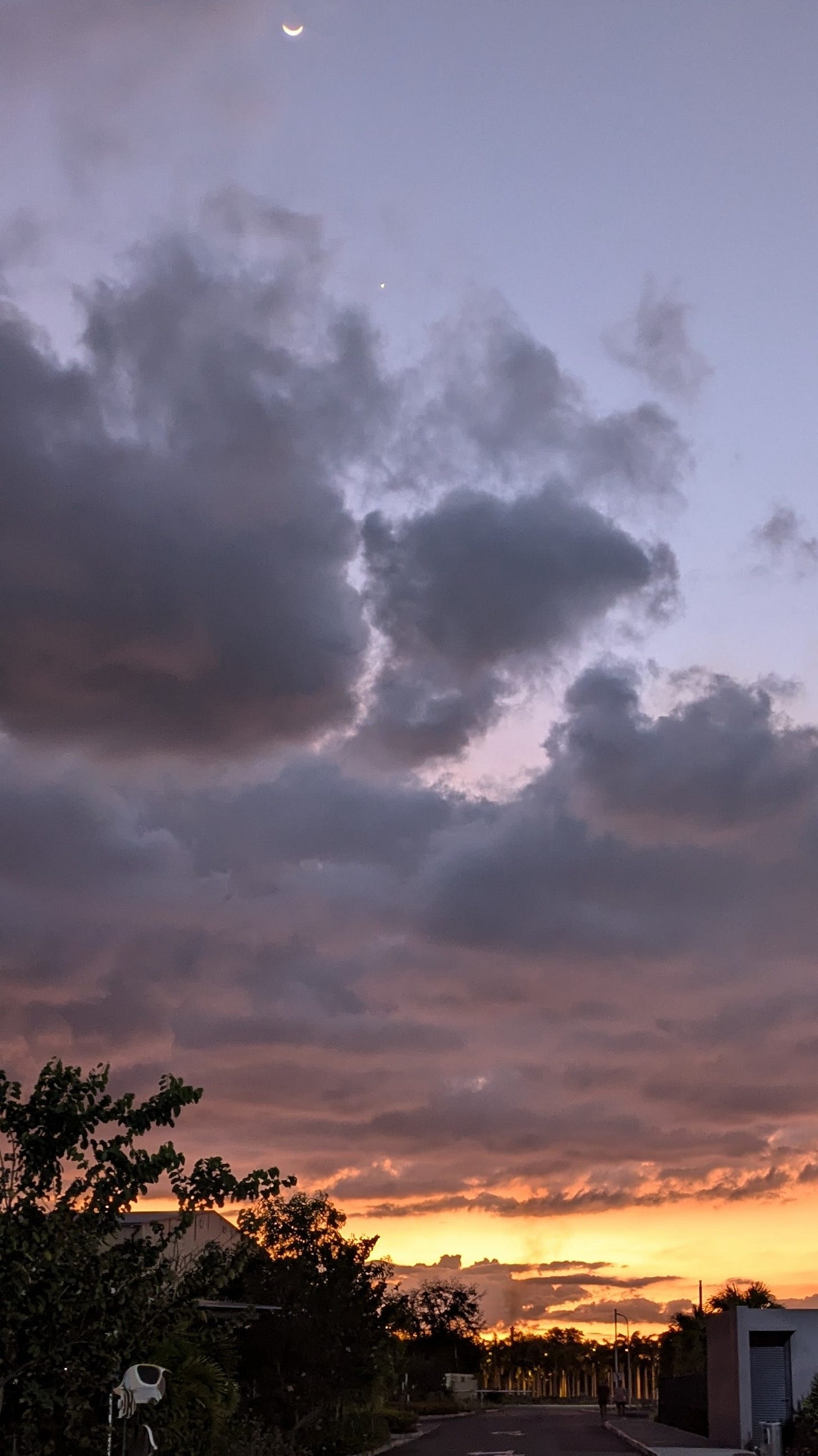 A photo of the sunset (the exact one mentioned in the post) and a crescent moon. Palm trees are in the distance.