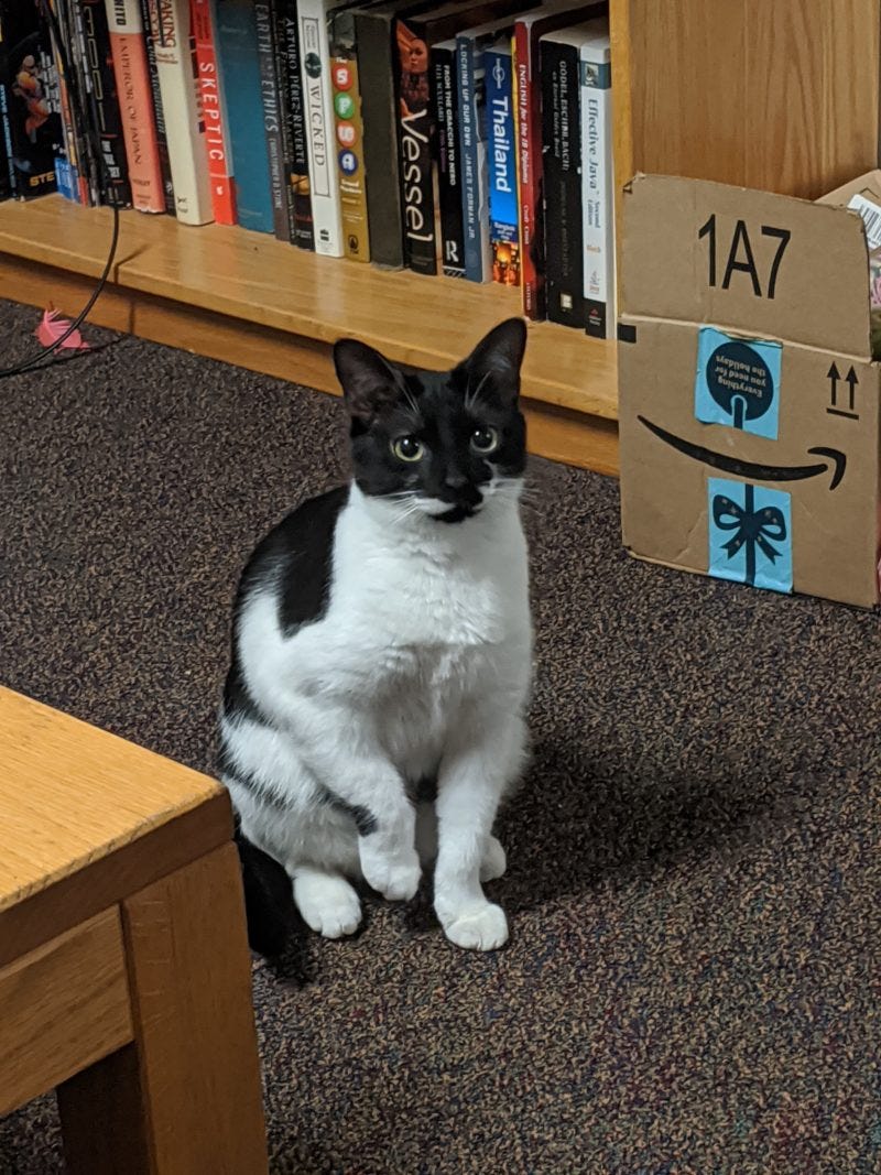 evadne (evie) sitting and waiting