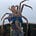 Cory Lescher's avatar