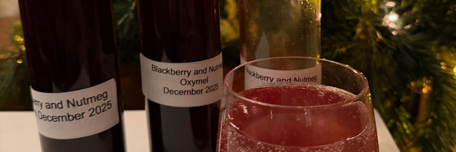Several bottles of dark purple liquid with a glass of sparkling diluted oxymel 