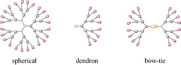 Synthesis of bow-tie carbosilane dendrimers and their HIV antiviral  capacity: A comparison of the dendritic topology on the biological process  - ScienceDirect