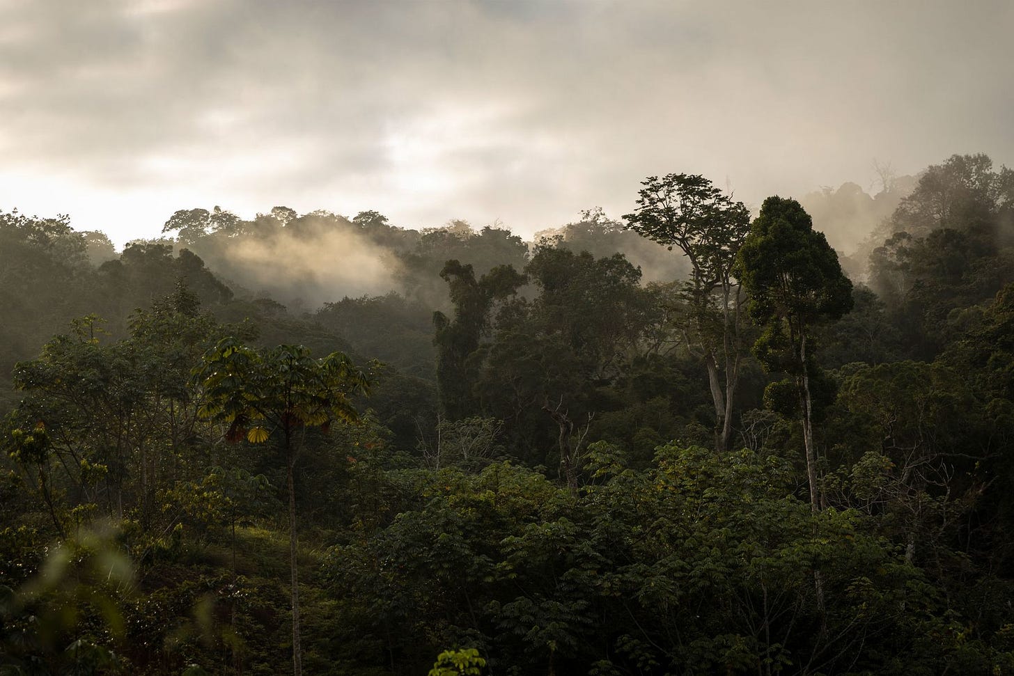 1800x-1_19.jpg 1800x-1_19.jpg