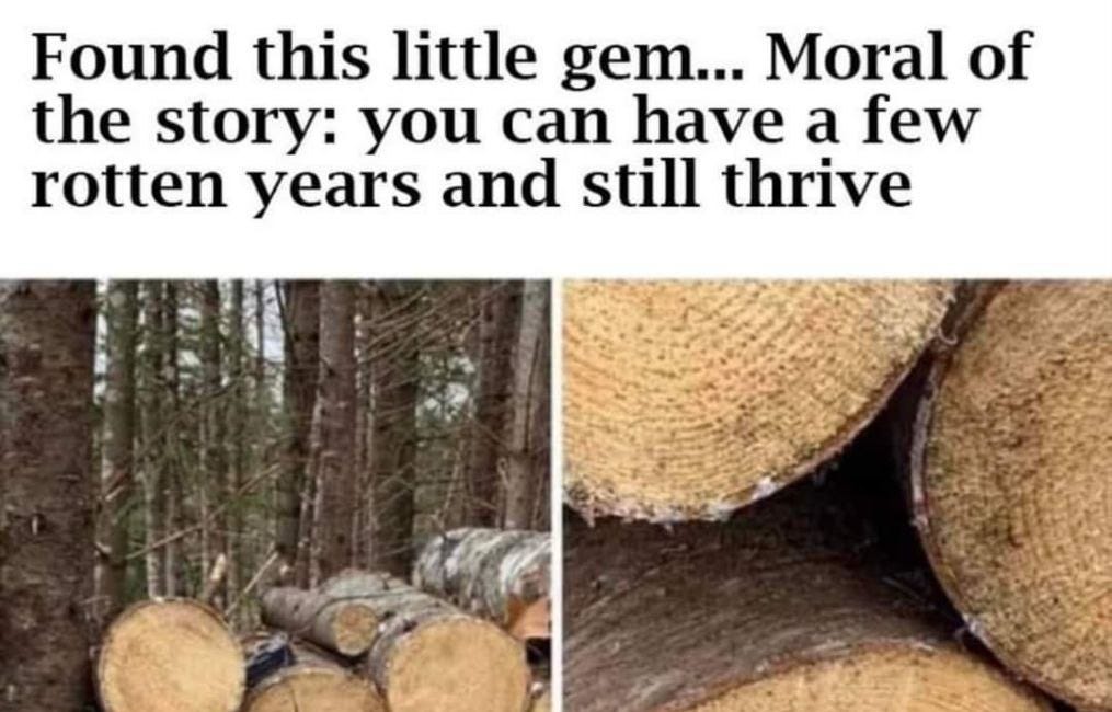 You Can Have A Few Rotten Years And Still Thrive